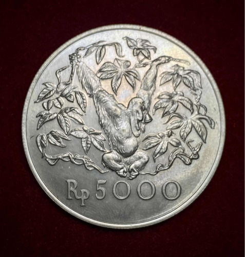 Moneda 5000 Rupias Indonesia 1974 Km40 Plata 0.500 Orangután