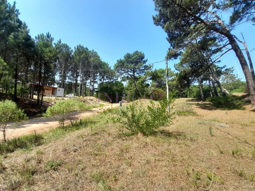 Imagen 5 de 12 de Venta De Lote En Barra Verde, La Barra, Uruguay - La Barra Barra Verde