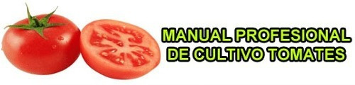 Manual De Cultivo De Tomate +control De Plagas Y Enfermedads