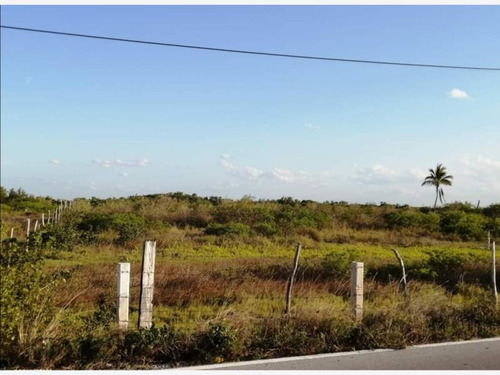 Terreno En Venta Santa Clara
