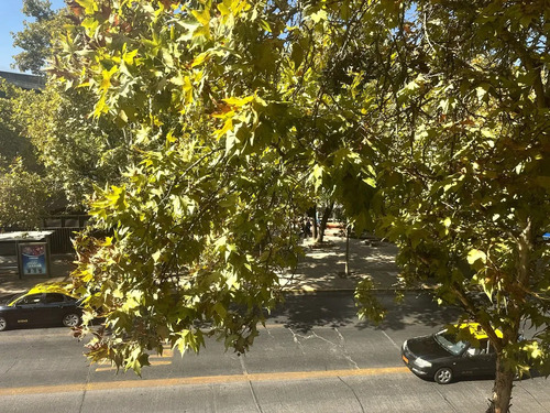 Oportunidad De Inversión En El Corazón De Providencia.