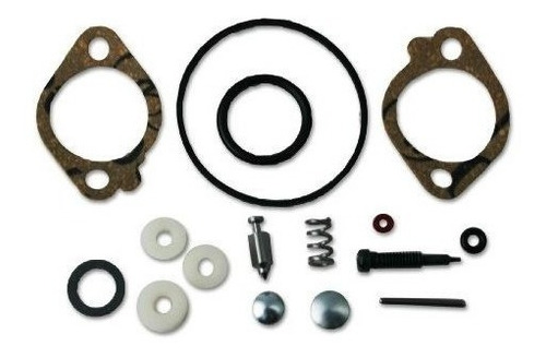 Kit De Revisión De Carburador Briggs & Stratton