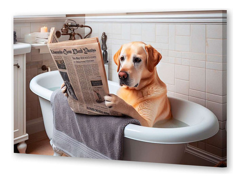 Cuadro 60x90cm Labrador Leyendo El Diario En El Baño