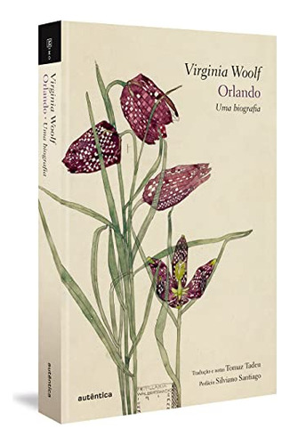 Libro Orlando Uma Biografia De Woolf Virginia Autentica Edi
