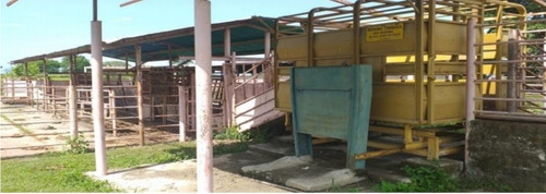 Imagen 26 de 30 de Finca Y Centro Turístico Linda Barinas En Venta