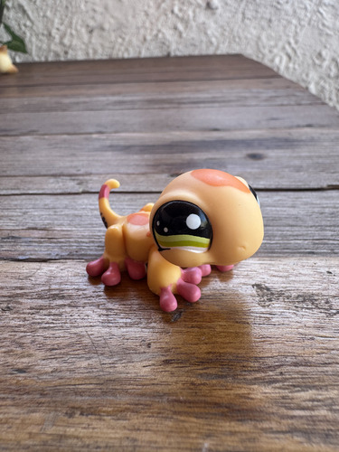 Littlest Pet Shop Basicos Importados Usa