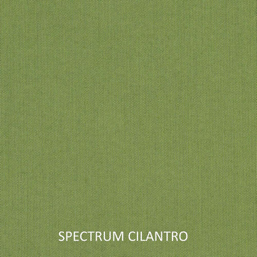 Juego De Cojines Spectrum Cilantro - 72 Unidades