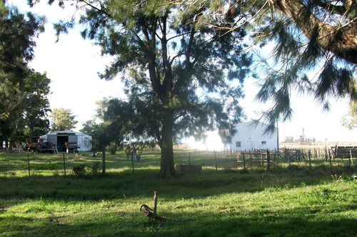 Imagen 17 de 30 de Campo En Venta En Arditti | Ruta 11-km.57 (110 Has)