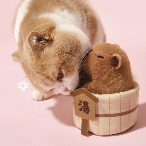 De Pelúcia, Brinquedos De Catnip Para Gatos, Engraçados,