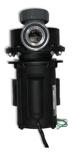 Bomba Completa  Para Filtro G3 - Igui Motor De 1 Cv 110v/220v