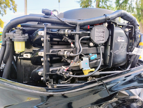 Semirrígido Albatros Gabbiano 460 C/mercury 40hp 4t | 2025