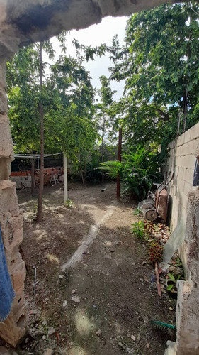 Imagen 10 de 12 de Casa Ubicada En Guacara Sector Los Apamates