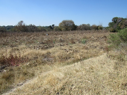 Imagen 21 de 29 de Terreno Plano En Santiago Cuautlalpan, Tepotzotlán, Estado De México