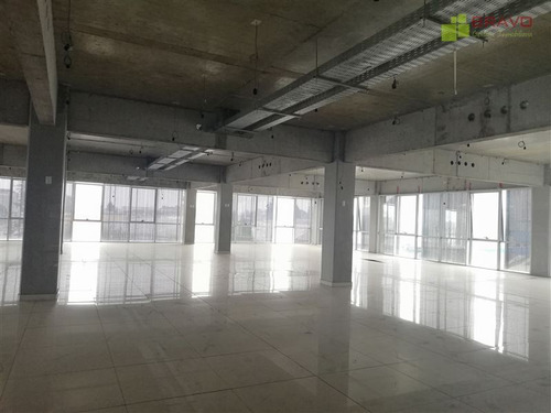 Planta Libre A Pasos Del Centro De Temuco