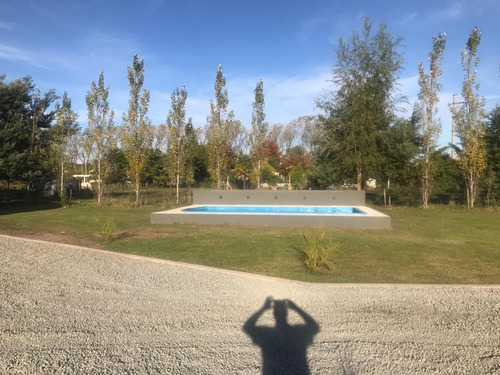 Imagen 2 de 11 de Venta, Quinta, 3 Ambientes, Quincho, Parrilla, Pileta, Jardín, Saladillo.