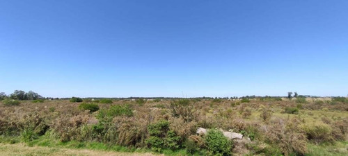 Imagen 3 de 5 de Campo En Venta Sobre Ruta 1 Para Fraccionamiento