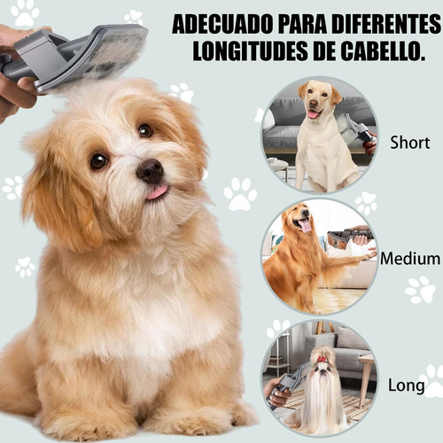 4 Piezas Cepillo Quita Pelo Demascotas Accesorios