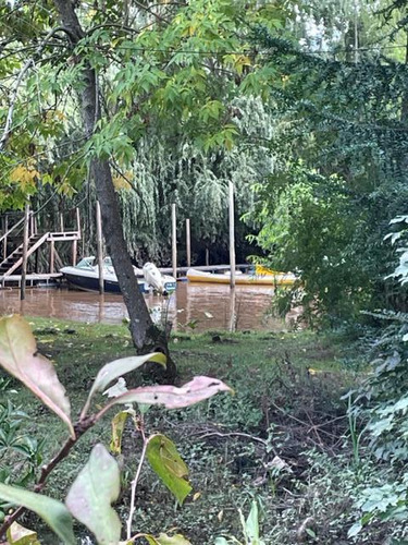 Imagen 7 de 30 de Delta - Tigre