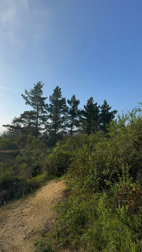 Terreno En Algarrobo Norte, Excelente Ubicación, 5.000 M2.