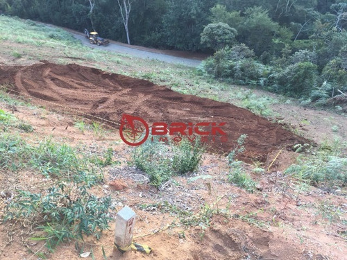 Imagem 7 de 8 de Terreno Com 600 M² Na Prata, Teresópolis/rj - Te00195 - 33621196