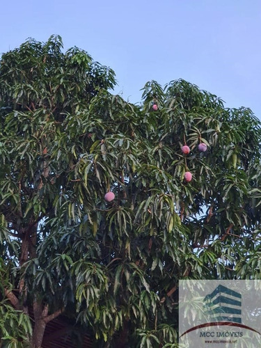 Imagem 23 de 27 de Chácara Com 8ha A Venda Em Guarabira, Paraíba