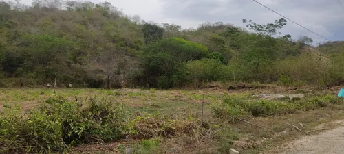 Lote En Venta En Venecia. Cod V12513