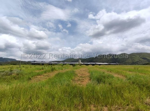 Imagen 11 de 20 de Angelica Naty Rent A House Finca Avicola En Venta Bejuma Carabobo Cod 23n7179 Ar