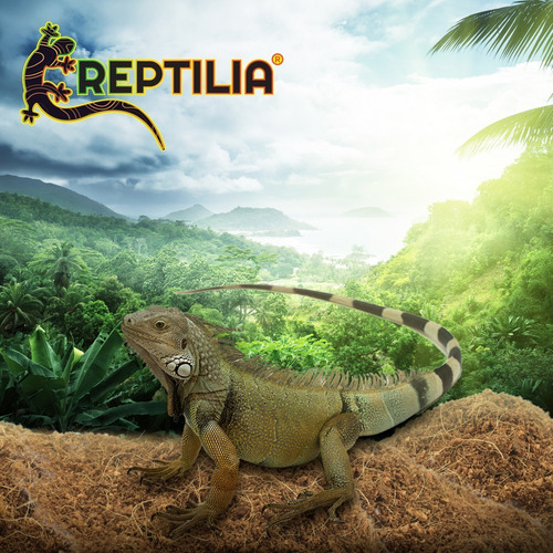 Imagen 3 de 3 de Fibra De Coco Sustrato 100% Natural Para Reptiles Terrario