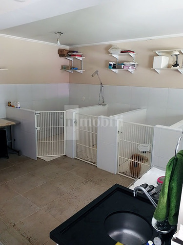 Imagem 4 de 15 de Maravilhosa Chácara Pronto Para Hotel De Cães. - Gv20753