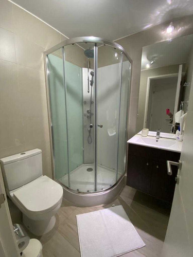 Se Vende Depto 1d Y 1b En Pucón (70669)