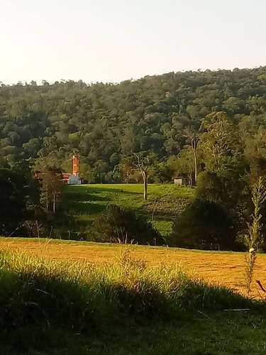 Imagem 5 de 8 de Condomínio De Chácaras Terreno 20x50 1000m2,muita Área Verde,bem Localizado,rota Do Vinho São Roque - Te00109 - 69314304