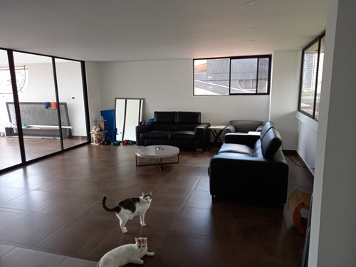 Imagen 14 de 14 de Apartamento Oviedo. De Gran Tamaño. Totalmente Remodelado