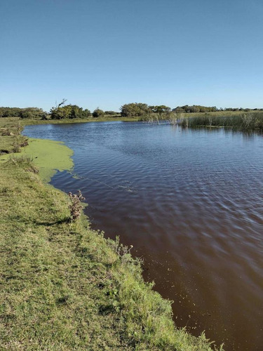 Imagen 12 de 19 de Campo En Venta - 101 Hectáreas - Pinamar