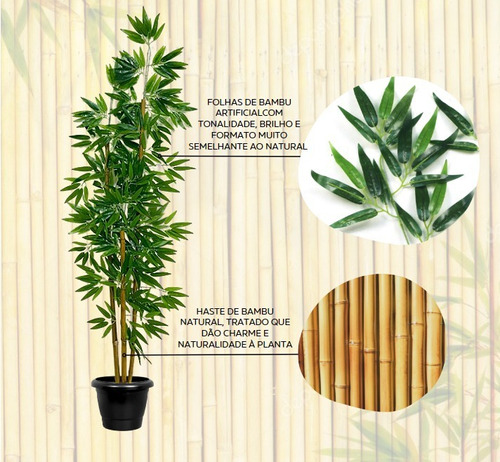 Planta Artificial Bambu Da Sorte Sem Vaso | Parcelamento sem juros