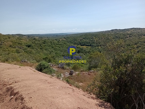 Imagen 8 de 12 de 5 Hectáreas, Entrega 13.000 U$s Y El Saldo En 60 Cuotas