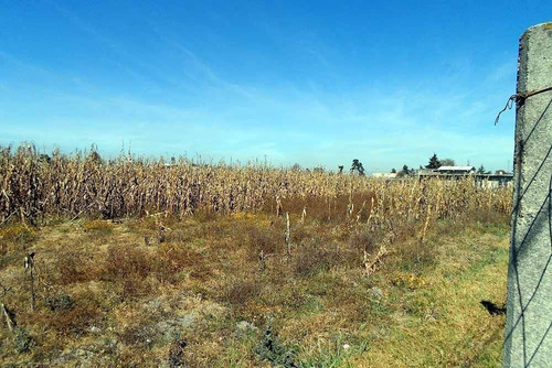 Imagen 5 de 14 de Vendo Terreno De 1 Ha Cerca Aeropuerto Toluca