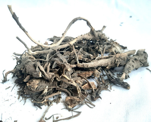 Raiz Equinacea 100 Gramos