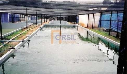 Imagem 4 de 10 de Sítio, Taiaçupeba, Mogi Das Cruzes - R$ 1.75 Mi, Cod: 2105 - V2105