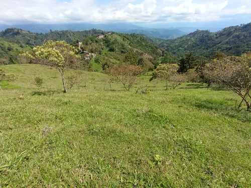 Deja Que El Campo Trabaje Para Ti : Finca En Quipile