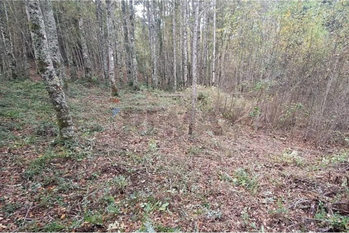 Venta De Terreno En Caburgua