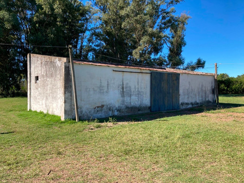 Galpón De 100 M2 Con Dos Piezas Independientes.