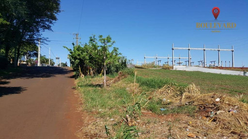Imagem 10 de 11 de Área À Venda, 60000 M² Por R$ 7.800.000,00 - Centro - São Miguel Do Iguaçu/pr - Ar0003
