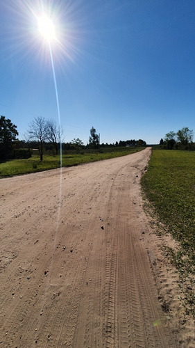 Terreno Lotes Federacion - Entre Rios 1080m2 -a 1,5km De Termas!