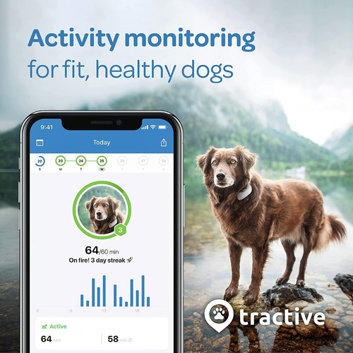 Rastreador Tec Lte Gps Ubicación Y Actividad Para Perros