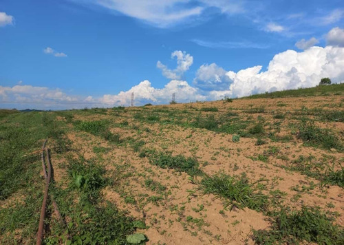 Imagem 5 de 30 de 20o Terreno Para Venda 1000m Em Cotia