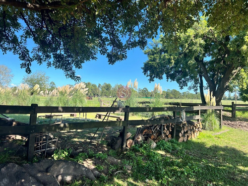 Terreno Campo En Venta En Ruta 28, Pilar, G.b.a. Zona Norte