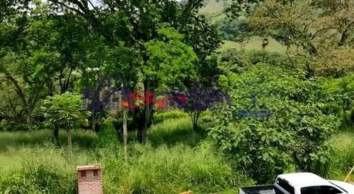 Lote Para Venta En Neira (52202).