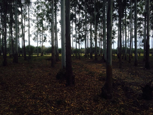Imagen 2 de 9 de Terrenos - Lotes La Aldea Club De Campo , Colon Entre Ríos