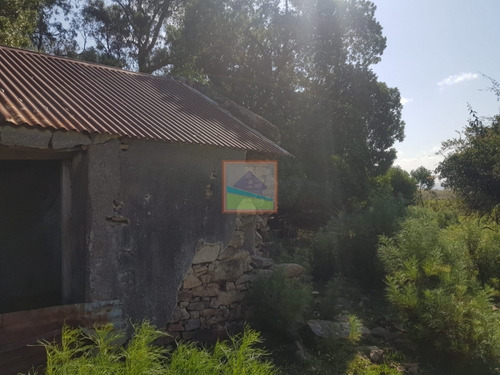 Campo 91.3 Hás La Coronilla Aiguá