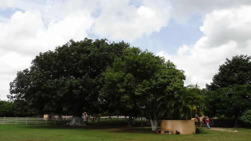 Gran Rancho En Venta En Buctzotz